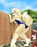  anthro breasts clothed clothing duo female fur kemono one-piece_swimsuit school_swimsuit solo_focus swimwear ペディスペア 