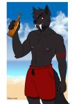  anthro beach board_shorts bottle canid canine clothed clothing male mammal nipples outside porin seaside solo standing topless 
