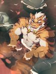  2019 abs anthro felid fur hi_res lin_hu male mammal muscular muscular_male nekojishi nipples pantherine pecs penis simple_background solo tiger tiggon_the_great 