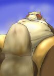 2023 anthro asian_clothing balls belly big_belly blush bodily_fluids brown_body brown_fur bulge canid canine clothing east_asian_clothing fundoshi fur genital_outline genitals gyobu japanese_clothing kemono lifewonders male mametanu_tanuki mammal moobs musk navel nipples overweight overweight_male penis_outline raccoon_dog scar simple_background solo sweat tanuki tokyo_afterschool_summoners underwear