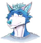 2021 anthro black_eyebrows blue_body blue_ears blue_eyes blue_fur blue_hair blue_nose canid canid_kaiba canine canis clothing domestic_dog eyebrows fur grey_clothing grey_shirt grey_topwear hair headshot_portrait hi_res looking_at_viewer male mammal multicolored_body multicolored_fur portrait prick_ears shirt short_hair signature simple_background snout solo topwear two_tone_body two_tone_fur white_background white_body white_fur