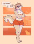 annoyed anthro bottomwear brown_hair canid canine canis chaiyote clothed clothing crop_top crossed_arms dialogue domestic_dog emanata eyewear female femboy_hooters flat_chested floppy_ears fully_clothed fur glasses hair hi_res hotpants mammal midriff round_glasses shirt shorts solo speech_bubble standing tail tail_motion tailwag tan_body tan_fur tattoo topwear