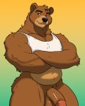 4:5 anthro bear brown_bear clothing genitals hi_res male mammal muscular shdwk shirt slightly_chubby solo tank_top topwear ursine