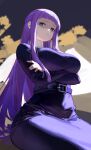  1girl absurdres belt breasts closed_mouth crossed_arms dress fern_(sousou_no_frieren) frown highres large_breasts long_hair long_sleeves looking_at_viewer looking_down meinoss purple_dress purple_eyes purple_hair shaded_face sitting solo sousou_no_frieren turtleneck 