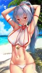  1girl armpits arms_behind_head arms_up bangs bare_shoulders beach blue_sky blush breasts closed_mouth fate/grand_order fate_(series) hair_between_eyes highres large_breasts long_hair looking_at_viewer navel palm_tree ponytail red_eyes silver_hair sky smile solo thighs tomoe_gozen_(fate/grand_order) tree tying_hair zukky 