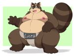 2024 4_fingers anthro asian_clothing belly big_belly canid canine clothing east_asian_clothing fingers hi_res japanese_clothing japanese_text kemono kusosensei male mammal mawashi moobs nipples overweight overweight_male raccoon_dog shoutaro simple_background solo sumo sumo_wrestler tanuki text
