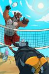  anthro barefoot beach bent_over bulge butt canid canine canis clothing domestic_dog group hi_res jumping male mammal musclegut nipples outside overweight seaside sinibun_95 smile sport swimwear tongue tongue_out ursid volleyball 