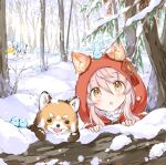  1girl :o animal animal_ear_fluff animal_ears animal_on_head bird blush brown_eyes capelet commentary_request day ears_through_headwear fang footprints forest fox fringe_trim hair_between_eyes hands_up hood hood_up hooded_capelet nature on_head original outdoors parted_lips peeking_out pink_hair red_capelet scarf shirt shovel snow snowman solo wataame27 white_shirt wolf-chan_(wataame27) wolf_ears yellow_scarf 