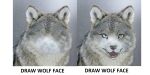 2021 ambiguous_gender black_nose blue_eyes canid canine canis cloudyiki draw_over draw_wolf_face english_text feral fur grey_body grey_fur hi_res mammal meme open_mouth photography_(artwork) solo teeth text wolf