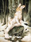 animal_genitalia anthro balls fully_sheathed fur lagomorph leporid male mammal nude outside rabbit scale_(artist) sheath solo whiskers 