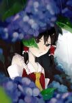  1girl :/ absurdres ascot bare_shoulders black_background black_eyes black_hair blue_flower blurry blurry_foreground closed_mouth depth_of_field detached_sleeves flower frilled_hair_tubes frilled_shirt_collar frills hair_between_eyes hair_tubes hakurei_reimu highres hydrangea leaf looking_at_viewer purple_flower rain red_vest s_u_d solo touhou two-tone_background upper_body vest water_drop white_background white_sleeves yellow_ascot 