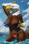 2024 accipitrid accipitriform anthro areola avian bald_eagle big_breasts biped bird blue_eyes breasts brown_areola brown_body brown_feathers brown_nipples camel_toe clitoris_outline detailed_background digital_media_(artwork) eagle feathers female hi_res looking_at_viewer marie_fisher_(spyglass8) multicolored_body multicolored_feathers nipples outside partially_submerged sea_eagle solo truegrave9 white_body white_feathers