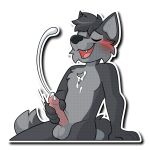 1:1 alpha_channel anthro balls bodily_fluids canid canine canis cum erection fur genital_fluids genitals grey_body grey_fur holding_penis looking_at_viewer male mammal masturbation nowandlater penis solo sticker tail telegram_sticker wolf zach_the_wolf