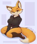 breasts brown_eyes canid canine clothing coffeefly female fox hi_res hoodie kneeling mammal pawpads smile solo topwear