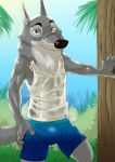  2019 akiric anthro blue_eyes bottomwear bulge canid canine canis cheek_tuft chest_tuft clothed clothing disney hi_res looking_at_viewer male mammal neck_tuft officer_wolfard outside plant shirt shorts shrub smile solo standing tank_top topwear translucent translucent_clothing tree tuft wolf zootopia 