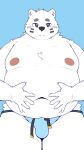 2024 anthro bear belly big_belly blue_background blush bulge clothing hi_res humanoid_hands kemono male mammal menmen_kesinn moobs navel nipples overweight overweight_male simple_background solo underwear white_body