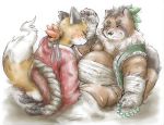  2017 anthro belly blush brown_fur butt canid canine clothing duo eyes_closed fox fundoshi fur humanoid_hands japanese_clothing male male/male mammal overweight overweight_male raccoon_dog robe roostax_wilddog scar sitting tanuki underwear 