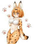 absurd_res alternate_species big_breasts blush bra breasts brown_body brown_fur brown_spots clothing dipstick_ears dipstick_limbs eyelashes felid feline female fur hair hi_res humanoid kemono_friends mammal markings multicolored_ears navel orange_body orange_eyes orange_fur orange_hair panties pawpads serval serval-chan short_hair simple_background smile solo spots striped_markings striped_tail stripes tail tail_markings tan_body tan_fur thick_thighs underwear white_background white_bra white_clothing white_panties white_underwear wide_hips zoo5469
