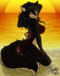 anthro beach bikini breasts butt canid canine clothing colored female fox grin looking_at_viewer mammal pose red_eyes roxanne_fox sand smile solo sunset swimwear tail the_sake_ninja true_fox water