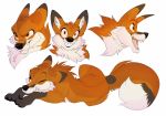  2019 ambiguous_gender canid canine digital_media_(artwork) dipstick_tail feral fluffy fluffy_tail fur hi_res looking_at_viewer mammal maned_wolf markings multicolored_tail multiple_poses narn one_eye_closed open_mouth orange_eyes pose sharp_teeth simple_background sketch_page smile solo tail_markings teeth tongue 