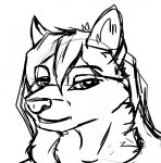 anthro black_and_white canid canine female fox grin headshot_portrait hi_res looking_at_viewer mammal monochrome portrait sketch smile solo tai_l_rodriguez the_sake_ninja true_fox