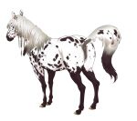 anatomically_correct anatomically_correct_genitalia anus appaloosa equid equine female feral genitals horse looking_down mammal pussy raised_tail shebeast solo tail