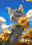  1boy absurdres animal_ear_fluff animal_ears backlighting blue_sky chinese_commentary claws cloud falling_petals fangs field flower flower_field goggles goggles_on_head hair_between_eyes highres holding holding_flower male_focus navel open_mouth original petals short_hair signature sky solo sunflower white_hair wolf_boy wolf_ears xuechan9 yellow_eyes 