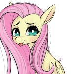 1:1 2019 absurd_res coinpo equid equine eyelashes female feral fluttershy_(mlp) friendship_is_magic hi_res looking_at_viewer mammal my_little_pony pterippus simple_background solo teal_eyes tongue tongue_out white_background wings 