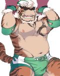  2019 anthro belly bottomwear bulge clothing felid green_eyes hombretigre humanoid_hands kumapanbear male mammal moobs navel nipples overweight overweight_male pantherine shorts simple_background sweat teeth tiger tokyo_afterschool_summoners video_games white_background 