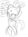  biffalo blaze_the_cat dialogue english_text female solo sonic_(series) text 