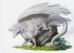  2019 alsareslynx ambiguous_gender claws digital_media_(artwork) dragon feathered_dragon feathered_wings feathers feral hair horn rock scales solo standing white_feathers white_hair white_scales wings 