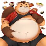 2024 absurd_res anthro belly big_belly bottomwear brown_body bulge canid canine clothed clothing clothing_lift food hi_res kemono male mammal navel overweight overweight_male raccoon_dog shirt shirt_lift shorts solo tanuki topwear trail_arnak