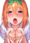  1girl absurdres aroused blue_eyes blush breath close-up collared_shirt commentary cupping_hands eyes_visible_through_hair fingernails go-toubun_no_hanayome green_ribbon hair_between_eyes hair_ribbon half-closed_eyes hands_up highres kouzuki_(majc8345) looking_at_viewer medium_hair nakano_yotsuba nose_blush open_mouth oral_invitation orange_hair own_hands_together raised_eyebrows ribbon shirt short_sleeves simple_background solo straight_hair sweat teeth tongue tongue_out tsurime upper_teeth_only white_background white_shirt 