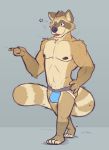  2019 absurd_res anthro belly brown_fur clothing fur hi_res humanoid_hands jockstrap male mammal minedoo moobs nipples one_eye_closed procyonid raccoon simple_background solo tongue tongue_out underwear wink 