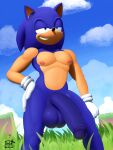 anthro balls big_balls big_penis blue_body blue_fur clothing cloud digital_media_(artwork) eulipotyphlan fur genitals gloves grass handwear hedgehog hi_res humanoid_genitalia humanoid_penis male mammal nipples nude outside pecs penis plant sega sky smile solo sonic_the_hedgehog sonic_the_hedgehog_(series) teeth timidwithapen vein veiny_penis