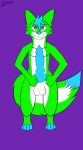  2019 3_fingers 4_toes absurd_res anthro balls blue_hair blue_nose blue_tail brisky~ canid digital_media_(artwork) digitigrade dipstick_tail fur green_ears green_fur green_tail hair hi_res knot long_tail looking_at_viewer male mammal multi_knot multicolored_fur multicolored_tail pecs penis purple_background purple_eyes short_hair simple_background solo standing tan_fur tan_tail toeless_(marking) toes 