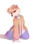 absurd_res anthro brown_body brown_fur canid canine canis clothing collar domestic_dog floppy_ears fur hi_res hoodie looking_at_viewer male mammal narpy p1nk_f0x simple_background sitting sitting_on_ground slim_anthro slim_male solo topwear white_background