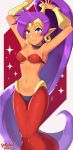  2019 absurd_res blue_eyes breasts capcom clothed clothing dark_skin ear_piercing female genie hair hi_res humanoid humanoid_pointy_ears jewelry long_hair looking_at_viewer mammal navel not_furry piercing ponytail purple_hair sarukaiwolf shantae shantae_(series) signature simple_background small_breasts smile solo video_games wayforward 