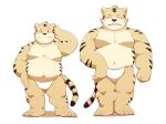  2019 anthro belly clothing duo felid fundoshi hi_res humanoid_hands japanese_clothing jumperbear male mammal moobs navel overweight overweight_male pantherine simple_background teeth tiger underwear white_background 