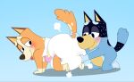  2021 anthro bandit_heeler big_diaper black_body black_fur blue_body blue_fur bluey_(series) blush canid canine canis chilli_heeler clothed clothing diaper diaper_only diaper_puff domestic_dog duo fang29 female fur hand_on_diaper hand_on_tail hi_res kneeling male male/female mammal nude orange_body orange_fur raised_tail tail tongue tongue_out topless touching_diaper 