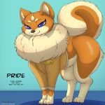  1:1 blue_eyes canid canine canis clothing domestic_dog female fur head_tuft hi_res jacket kuroodod mammal multicolored_fur neck_tuft pride_(changing_fates) shiba_inu simple_background smile spitz thick_thighs topwear tuft two_tone_fur 