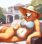  anthro bikini bird_dog black_lips breasts building canid canine canis cleavage clothed clothing domestic_dog female floppy_ears front_view fur golden_retriever hat headgear headwear hi_res house hunting_dog lips lying mammal midriff navel on_side outside partially_clothed retriever solo sun_hat swimwear tan_body tan_fur tenynn tongue tongue_out 