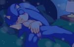  anthro bed bedroom blush crossgender cuntboy eulipotyphlan hedgehog hi_res intersex mammal nowykowski7 nude pussy pussy_juice sleeping solo sonic_(series) sonic_the_hedgehog 