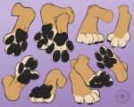  4_toes absurd_res ambiguous_gender anthro black_pawpads brown_body brown_fur carifoxleopard crossed_feet feet foot_focus foot_shot fur hi_res hindpaw pawpads paws purple_background simple_background solo tan_body tan_fur tan_toes toes 