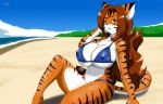  beach bikini breasts clothing felid female hair hi_res mammal pantherine seaside solo speeds swimwear tiger 