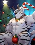  abs absurd_res anthro antlers aurora_borealis bell blue_eyes candy candy_cane christmas christmas_tree collar eyebrows felid food fur hair hi_res holidays horn kemono looking_at_viewer lveink male mammal mistletoe muscular muscular_male night_sky nipples pantherine pecs plant star tiger tree white_fur white_hair 