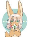  1other ambiguous_gender animal_ears blush eyebrows_visible_through_hair flower furry green_eyes holding holding_flower kawasemi27 looking_at_viewer made_in_abyss nanachi_(made_in_abyss) short_hair tail upper_body whiskers white_hair 