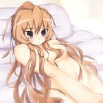  tagme taiga_aisaka toradora! 