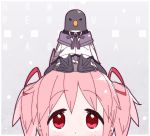  1girl akemi_homura animal animal_on_head animalization bangs bird bird_on_head eyebrows_visible_through_hair grey_background hair_ribbon homu jacket kaname_madoka looking_up magical_girl mahou_shoujo_madoka_magica on_head penguin pink_eyes pink_hair pleated_skirt purple_skirt red_ribbon ribbon short_hair short_twintails skirt twintails white_jacket yoru_nai 