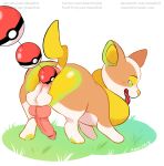  2019 absurd_res amaichix animal_genitalia animal_penis anus balls big_butt butt canid canine canine_penis feral fluffy fur hi_res knot male mammal nintendo penis pok&eacute;mon pok&eacute;mon_(species) solo video_games yamper 